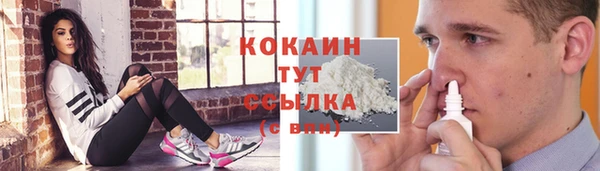 гашик Богданович