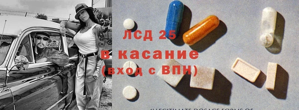 гашик Богданович