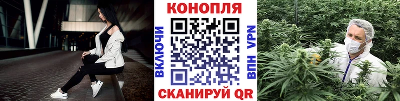 Бошки Шишки семена  shop наркотические препараты  Гороховец 